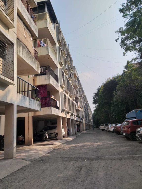  florida minis Elevation