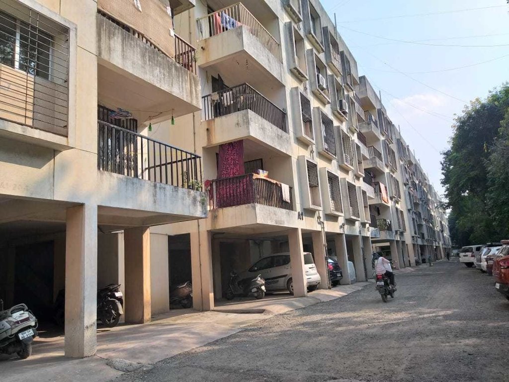  florida minis Elevation