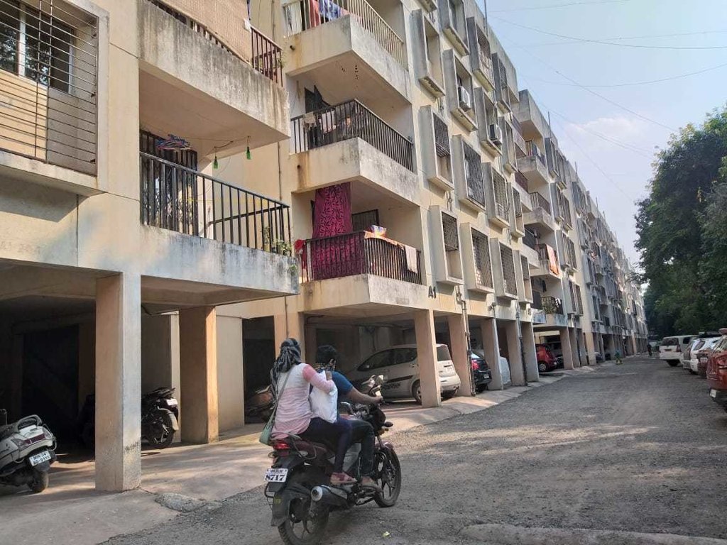  florida minis Elevation