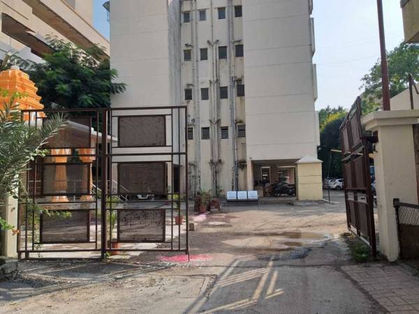  florida-minis Elevation