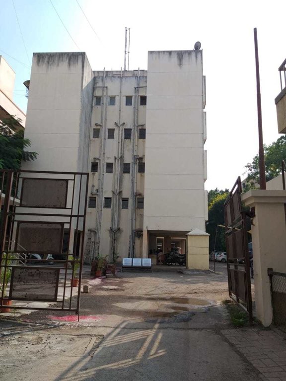  florida minis Elevation