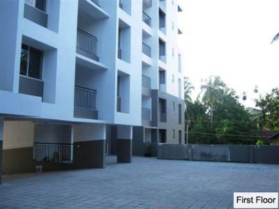 Images for Elevation of Skyline Petal Images for Elevation of Skyline Petal