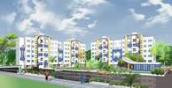 Paradise Homes