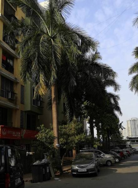  blue-empire Elevation