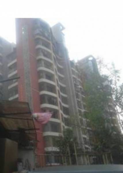 Elevation yogi-star Elevation