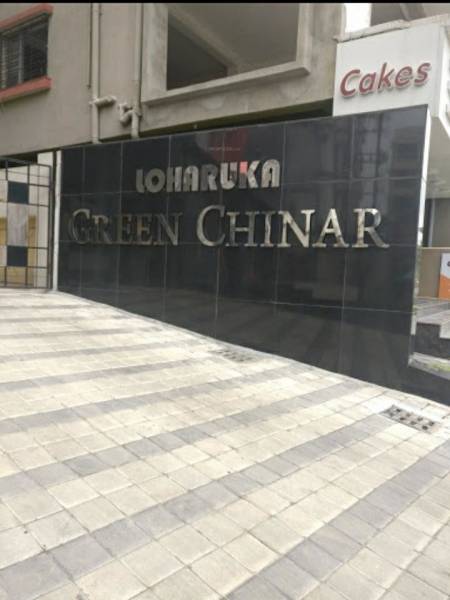 Others green-chinar Others