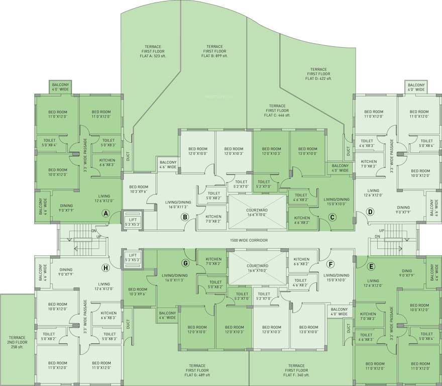  freshia 2 Images for Cluster Plan of Aspira Loharuka Freshia 2