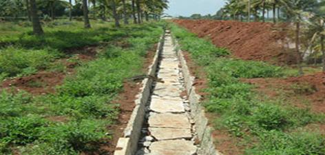  serenity Landscape Garden and Tree Planting