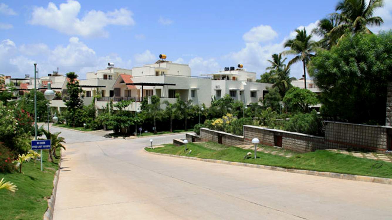 Images for Elevation of Koncept Ambience Palm County Rows