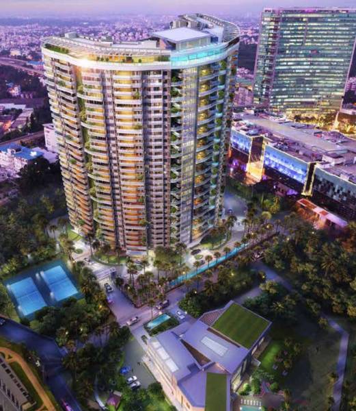 Elevation kessaku Elevation