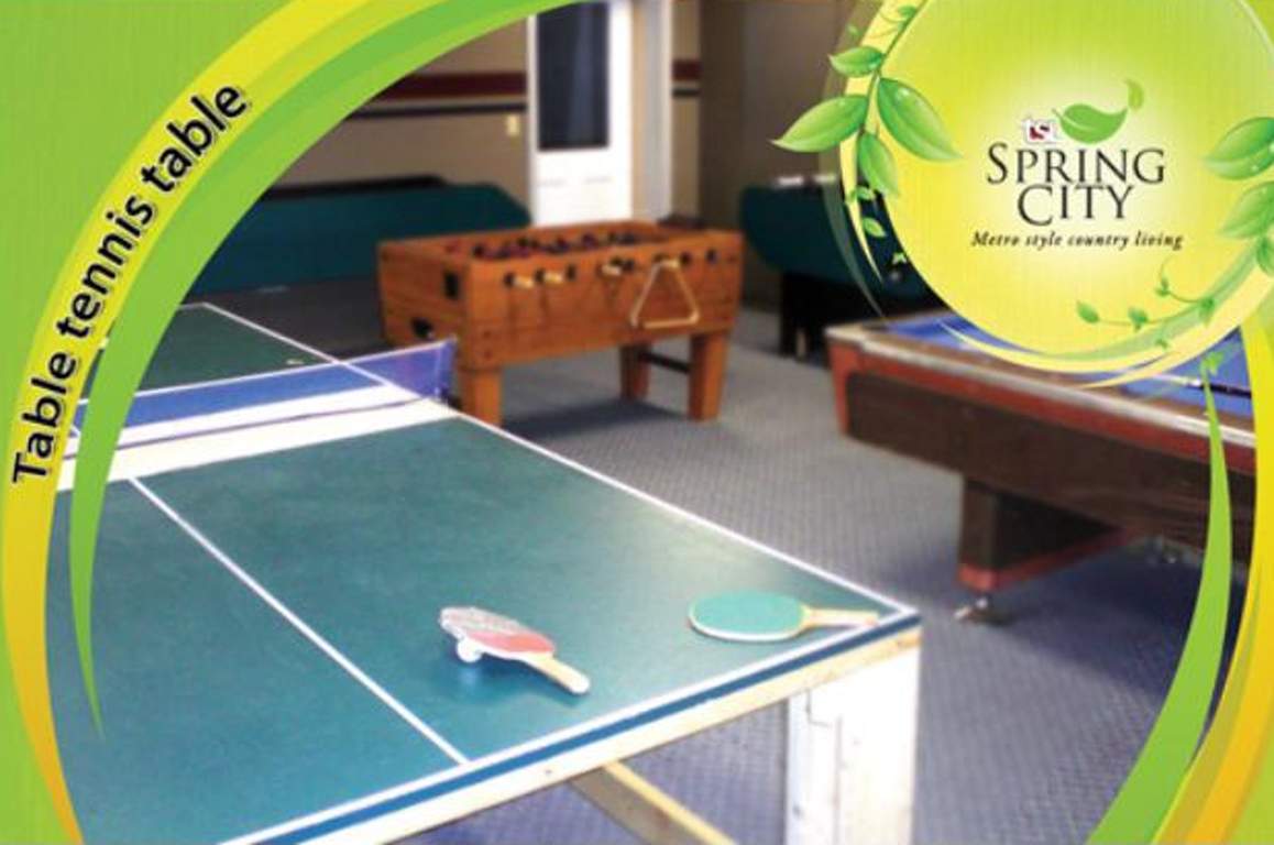 Images for Amenities of Trishna Spring City