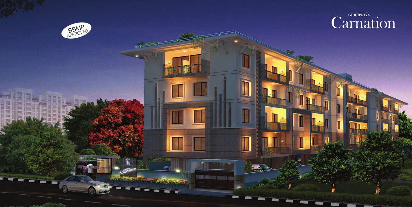  carnation Images for Elevation of Gurupriya Carnation