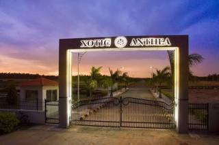 Project Image Project Image