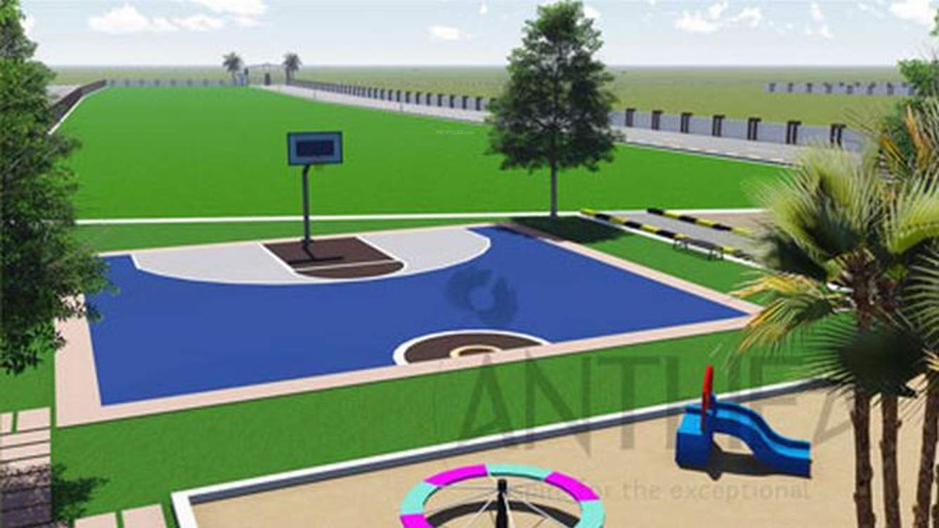 Images for Amenities of Xotic Anthea