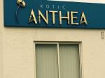 Images for Amenities of Xotic Anthea