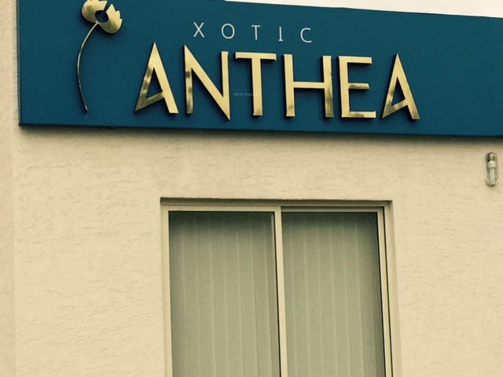 Images for Amenities of Xotic Anthea