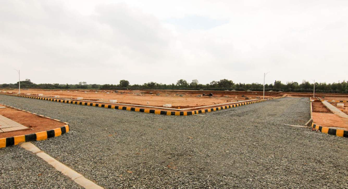 Images for Main Other of Xotic Anthea