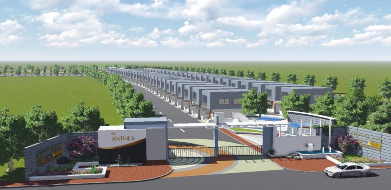 Images for Main Other of Xotic Anthea