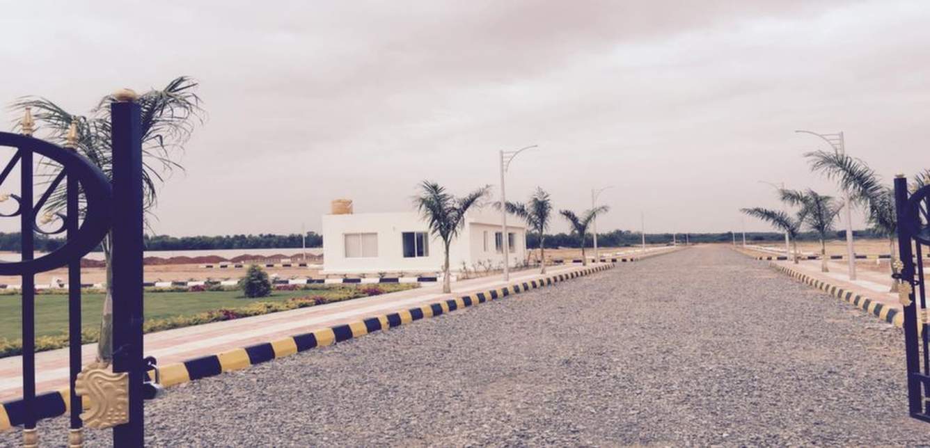 Images for Main Other of Xotic Anthea