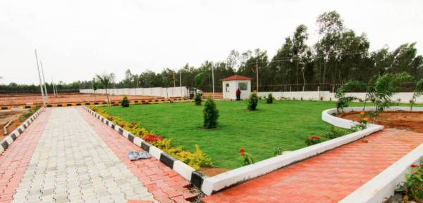 Images for Main Other of Xotic Anthea