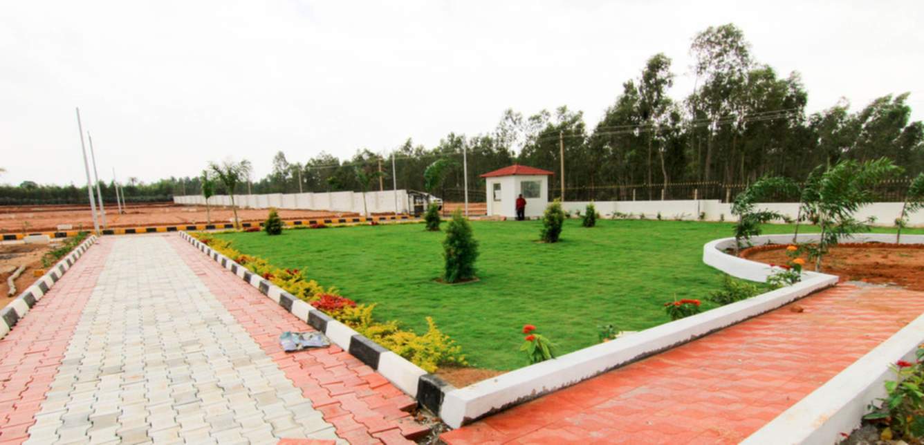 Images for Main Other of Xotic Anthea