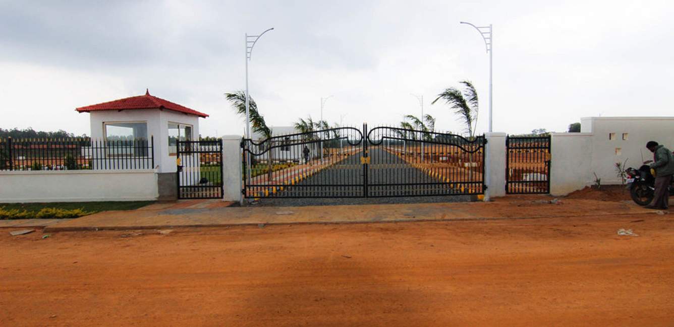 Images for Main Other of Xotic Anthea