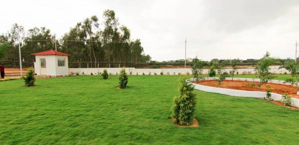 Images for Main Other of Xotic Anthea