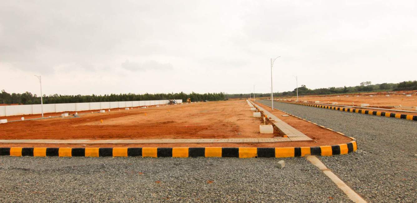 Images for Main Other of Xotic Anthea