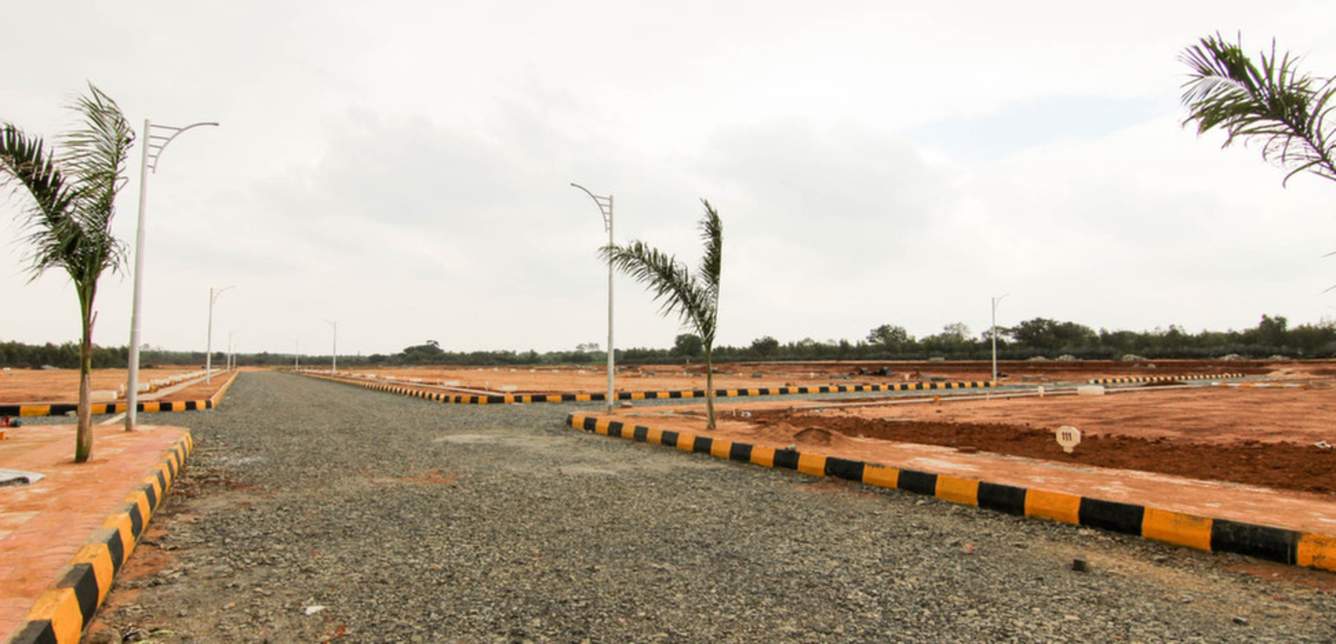 Images for Main Other of Xotic Anthea