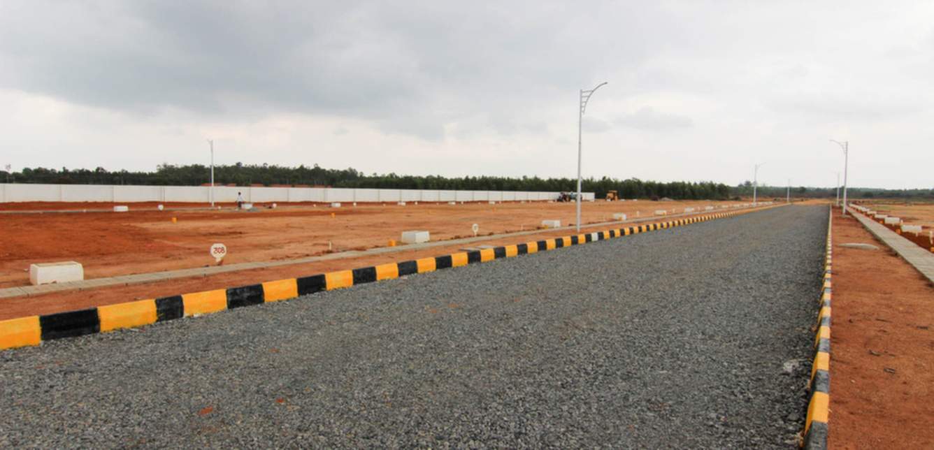 Images for Main Other of Xotic Anthea