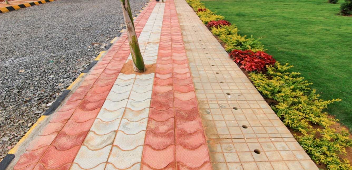 Images for Main Other of Xotic Anthea