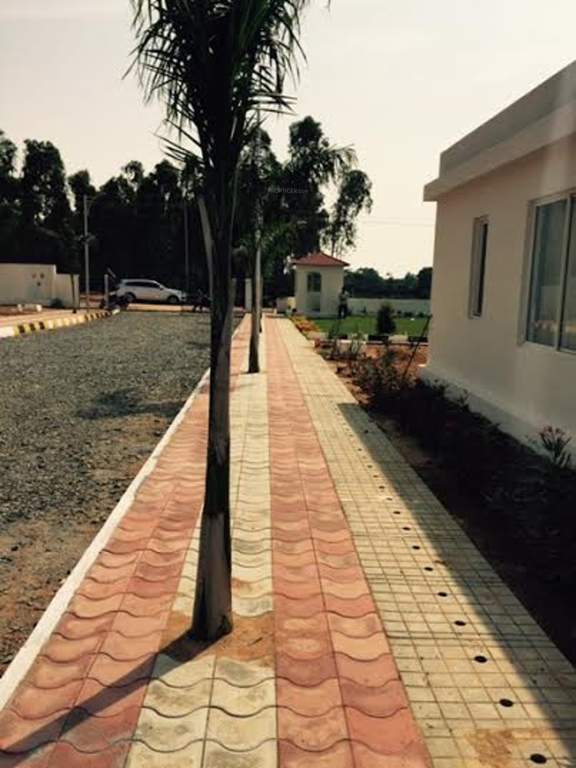 Images for Main Other of Xotic Anthea