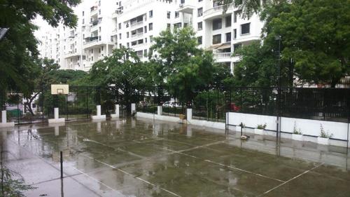  maestros Basketball Court