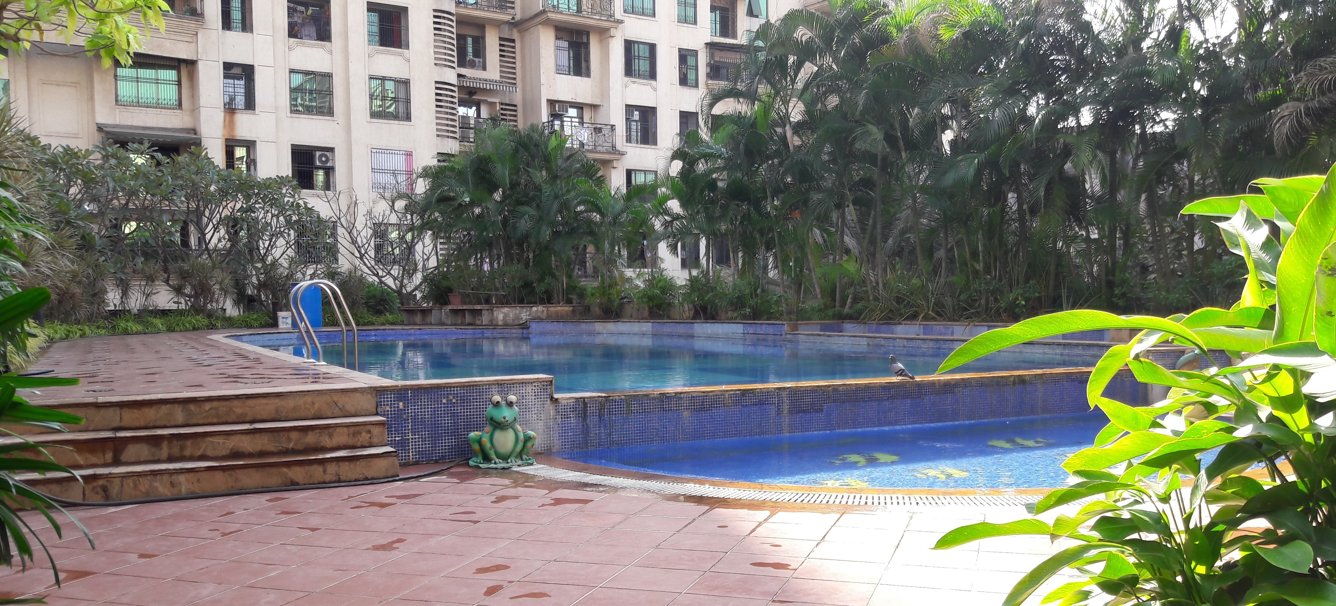  sankalp Swimming Pool