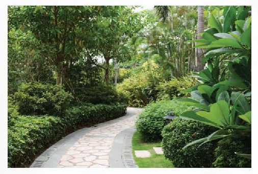 Images for amenities