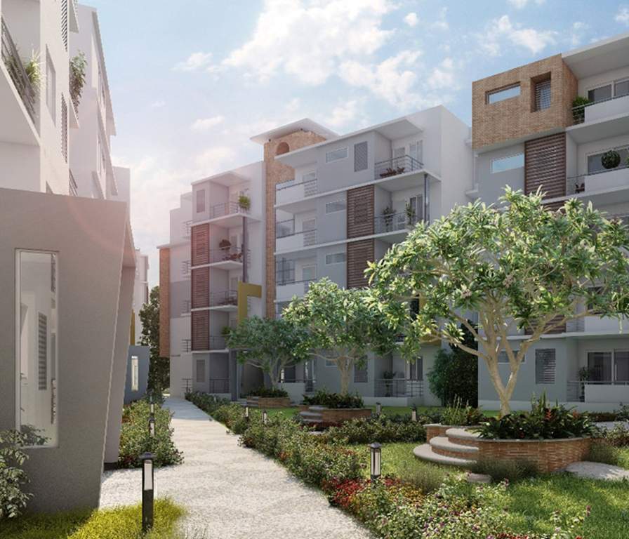  humming bird Images for Elevation of Chartered Humming Bird