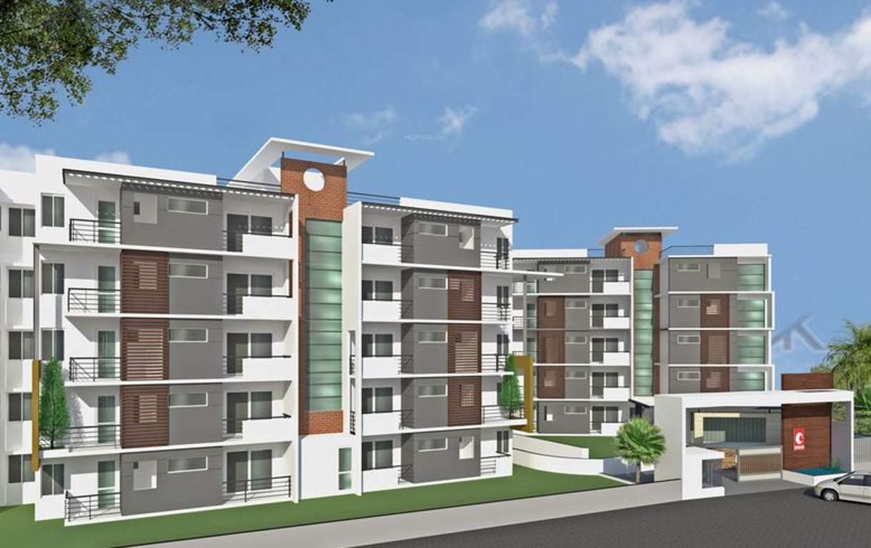  humming bird Images for Elevation of Chartered Humming Bird