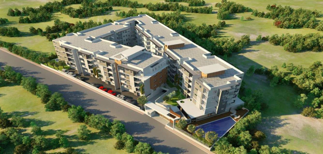  humming bird Images for Elevation of Chartered Humming Bird