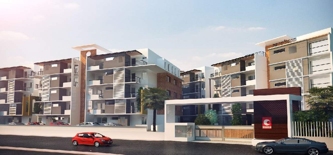  humming bird Images for Elevation of Chartered Humming Bird