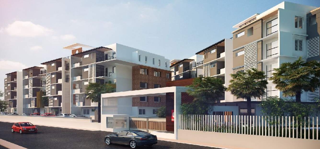  humming bird Images for Elevation of Chartered Humming Bird