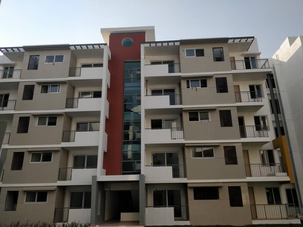  humming bird Images for Project