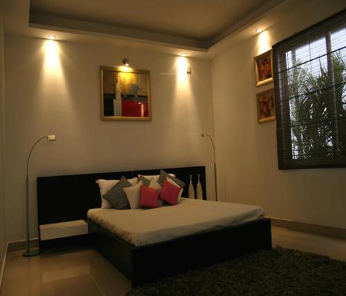 Images for Main Other of Chartered Humming Bird humming-bird Images for Main Other of Chartered Humming Bird