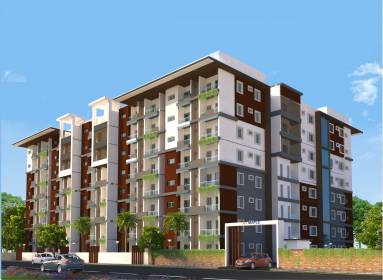 Images for Elevation of SV Maple