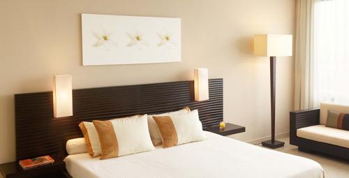 Images for Main Other of Ashoka Liviano liviano Images for Main Other of Ashoka Liviano