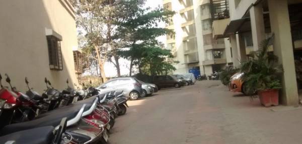 Car Parking view Car Parking