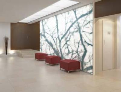 Images for Main Other of Malabar Grand Oak