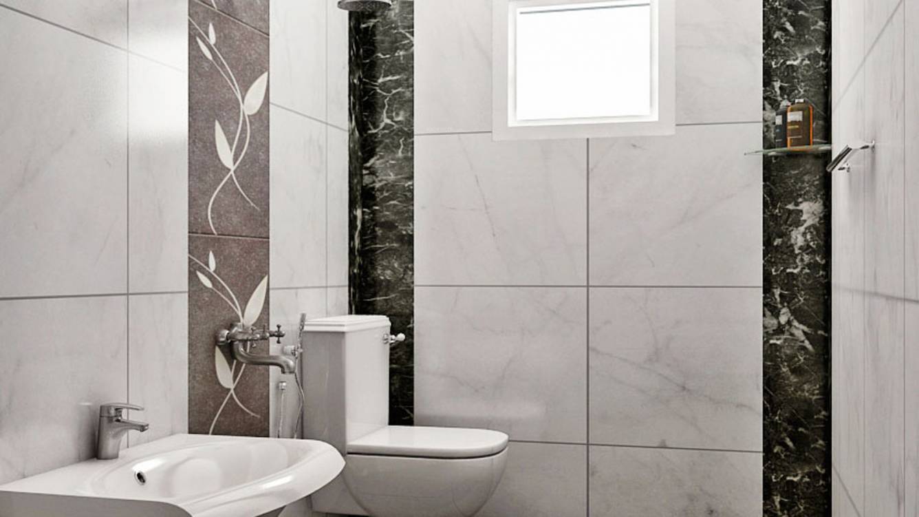 Images for Main Other of Vijay Raja August