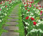 Images for Main Other of RK Suraksha Suraksha Landmark Images for Main Other of RK Suraksha Suraksha Landmark