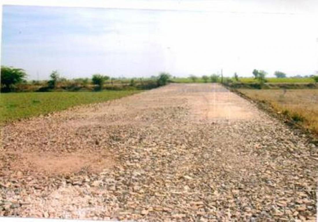 Images for Main Other of Rose Rose Garden 1