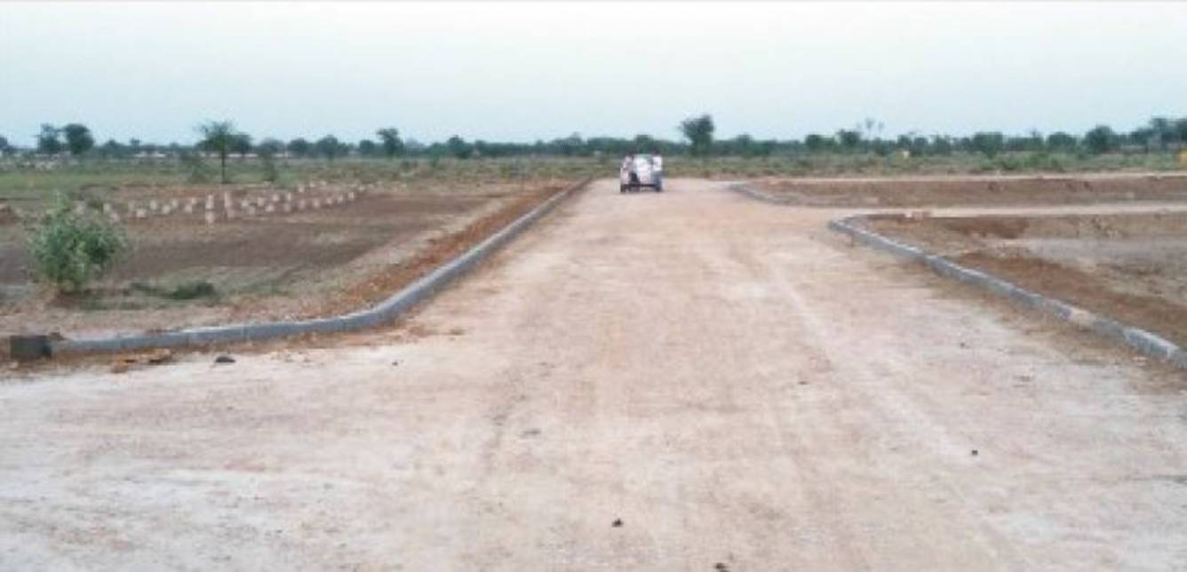 Images for Main Other of Rose Rose Garden 1